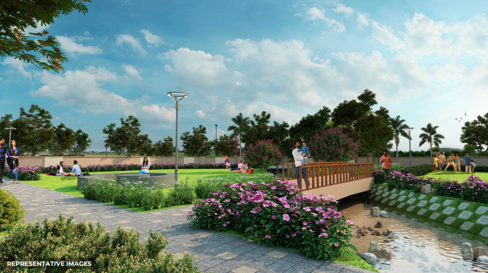 DLF Plots 
